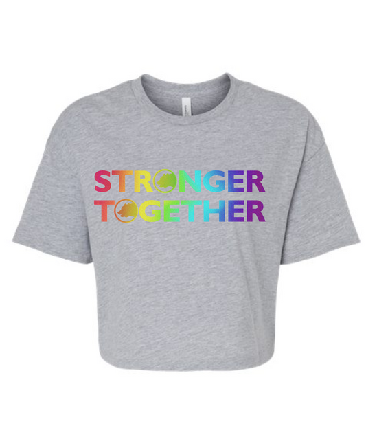 STP Rainbow Jersey Crop Tee